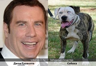 Джон Траволта и Собака