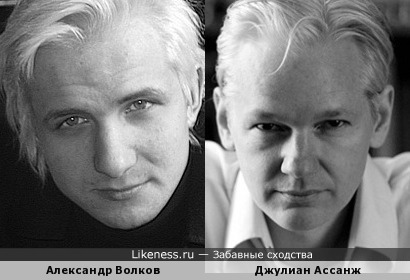 Александр Волков и Джулиан Ассанж похожи