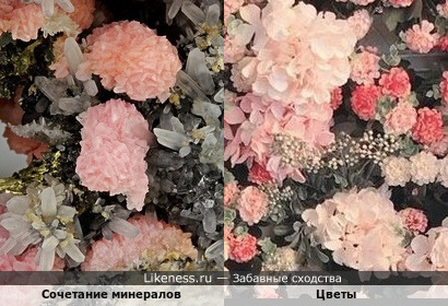 Сочетание минералов напоминает цветы