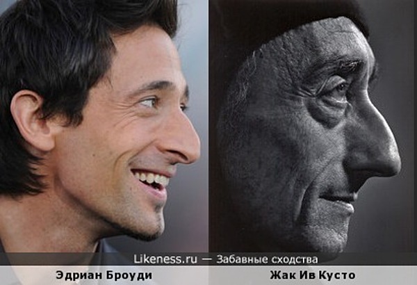 Эдриан Броуди похож на Жака Ива Кусто Эдриан Броуди похож на Жака Ива Кусто