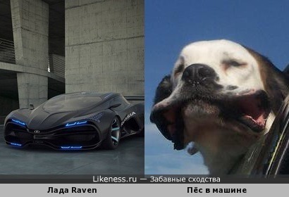 Лада Raven похожа на собаку в машине