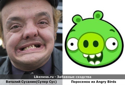 Виталий Сусанин(Супер Сус) и Поросенок из Angry Birds