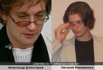 Александр Домогаров и Евгений Малюженко, даже очень похожи!