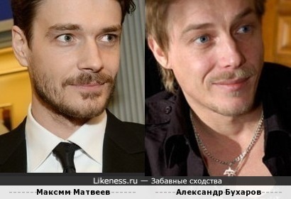 Александр Бухаров похож на Максима Матвеева
