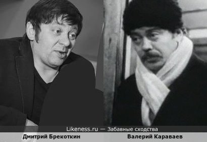 Валерий Караваев похож на Дмитрия Брекоткина