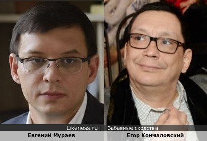 Евгений Мураев похож на Егора Кончаловского
