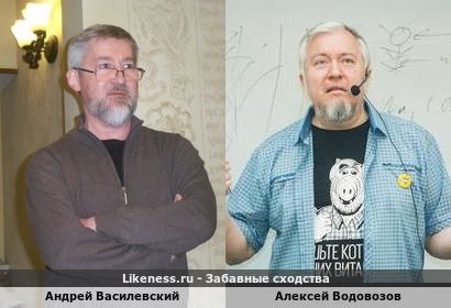 Андрей Василевский похож на Алексея Водовозова