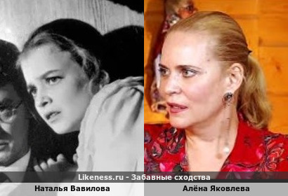 Наталья Вавилова похожа на Алёна Яковлеву