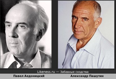 Александра Пашутин похож на Павла Аедоницкого