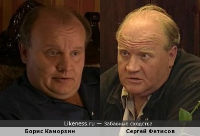 Борис Каморзин похож на Сергея Фетисова
