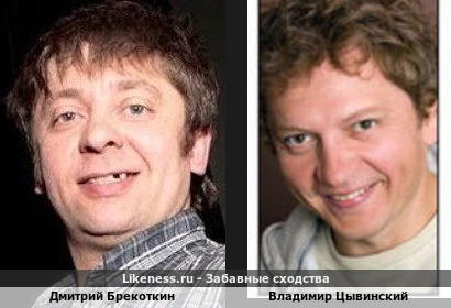 Дмитрий Брекоткин похож на Владимира Цывинского