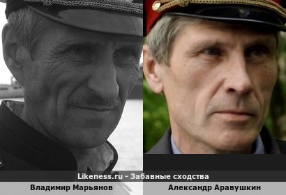 Владимир Марьянов похож на Александра Аравушкина