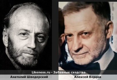 Анатолий Шведерский похож на Алексея Ворону