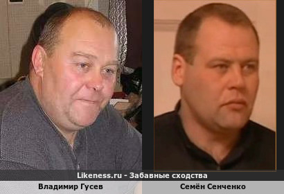 Владимир Гусев похож на Семёна Сенченко