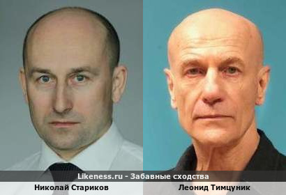 Николай Стариков похож на Леонида Тимцуника
