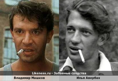 Владимир Машков похож на Илью Авербаха