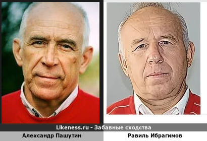 Александр Пашутин похож на Равиля Ибрагимова