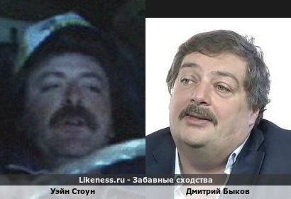 Уэйн Стоун похож на Дмитрия Быкова