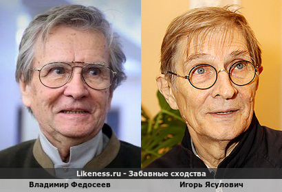 Владимир Федосеев похож на Игоря Ясуловича