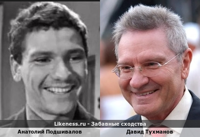Анатолий Подшивалов похож на Давида Тухманова