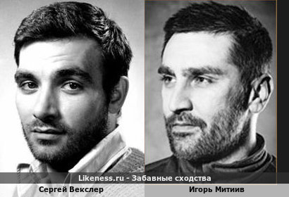 Сергей Векслер похож на Игоря Митиива