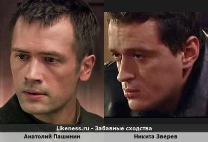 Анатолий Пашинин похож на Никиту Зверева