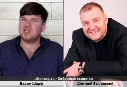 Вадим Шарф похож на Дмитрия Быковского