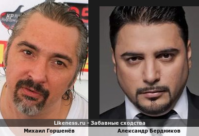 Михаил Горшенёв похож на Александра Бердникова