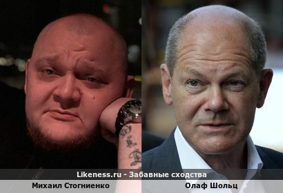 Михаил Стогниенко похож на Олафа Шольца