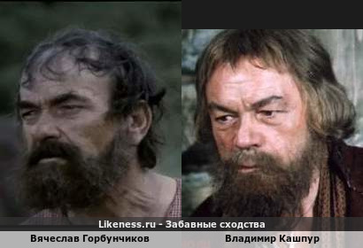Вячеслав Горбунчиков похож на Владимира Кашпура