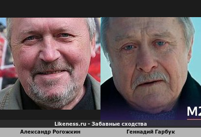 Александр Рогожкин похож на Геннадия Гарбука
