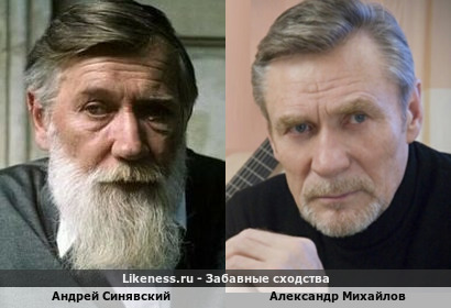 Андрей Синявский похож на Александра Михайлова