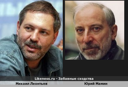 Михаил Леонтьев похож на Юрия Мамина