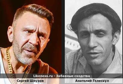 Сергей Шнуров похож на Анатолия Гелескула