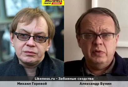 Михаил Горевой похож на Александра Бунина
