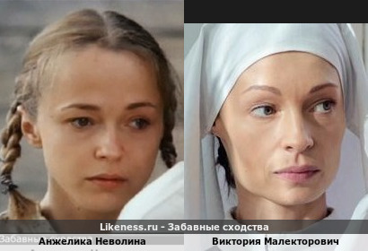 Анжелика Неволина похожа на Викторию Малекторович