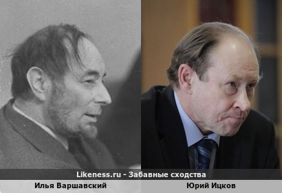 Илья Варшавский похож на Юрия Ицкова