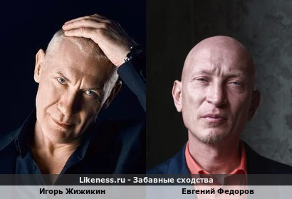 Игорь Жижикин похож на Евгения Федорова
