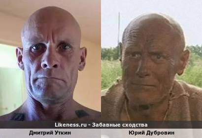 Дмитрий Уткин похож на Юрия Дубровина