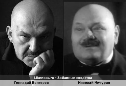 Геннадий Венгеров похож на Николая Мичурина