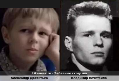 Александр Дробитько похож на Владимира Нечитайло
