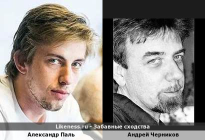 Александр Паль похож на Андрея Черникова