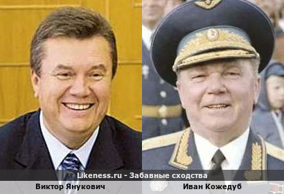 Виктор Янукович похож на Ивана Кожедуба