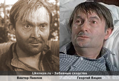 Виктор Павлов похож на Георгия Вицина