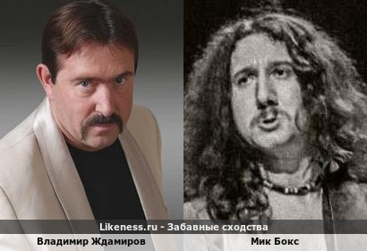 Владимир Ждамиров похож на Мика Бокса
