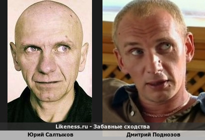 Юрий Салтыков похож на Дмитрия Поднозова