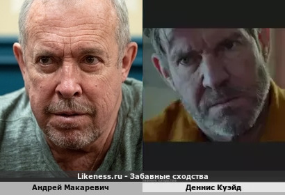 Андрей Макаревич похож на Денниса Куэйда