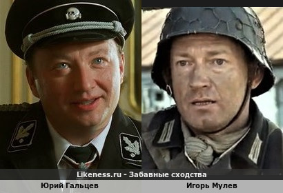 Юрий Гальцев похож на Игоря Мулева