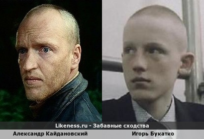 Александр Кайдановский похож на Игоря Букатко