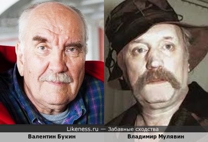 Валентин Букин похож на Владимира Мулявина